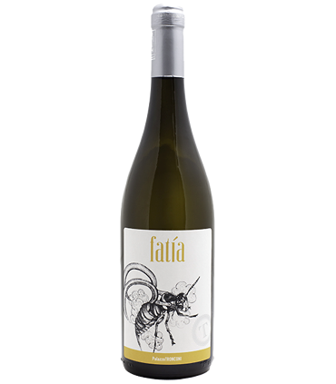 Fatia P. Tronconi